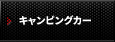 トランスポーター